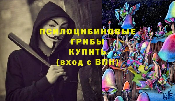 ALPHA PVP Бородино