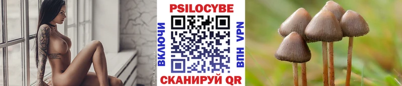 Псилоцибиновые грибы GOLDEN TEACHER наркошоп Копейск